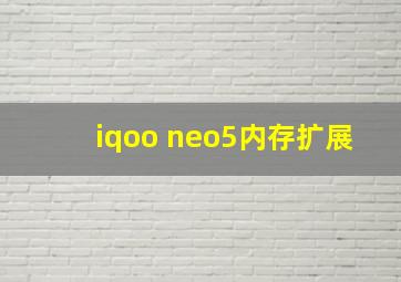 iqoo neo5内存扩展